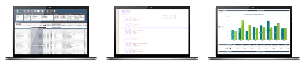 Workflow: Datenquelle → JSON → fertige Auswertung